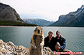 10_greatest_animal_photobombs_of_all_time_9_thumb.png